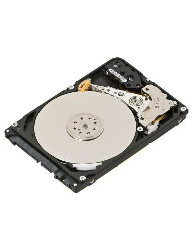 HD 2.5 300GB SAS 512N HDD
