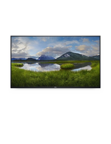 55 4K CONFERENC ROOM MONITOR P5524Q