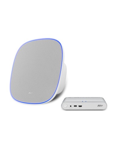 AVer FONE700 Speakerhone Gris