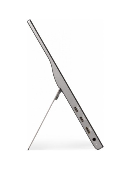 Viewsonic TD1655 15.6 Full HD LED Negro