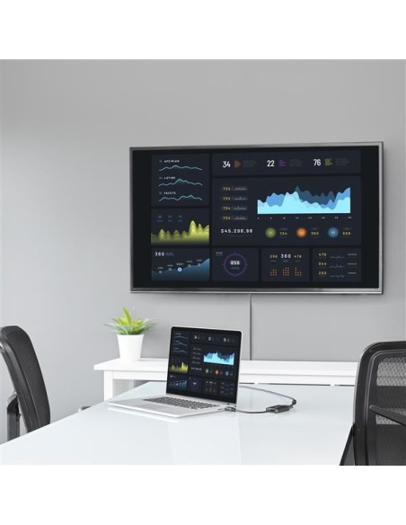 StarTech.com Cable Adaptador Externo Conversor de Vídeo y Au