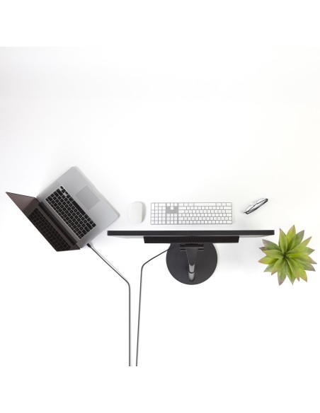 StarTech.com Cable Adaptador de 1,8m de Monitor Mini Display