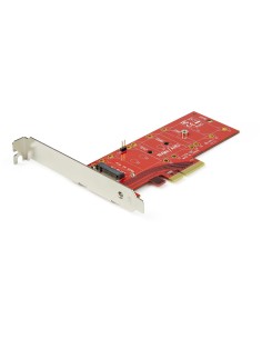 StarTech.com Adaptador x4 PCI Express a SSD M.2 PCIe