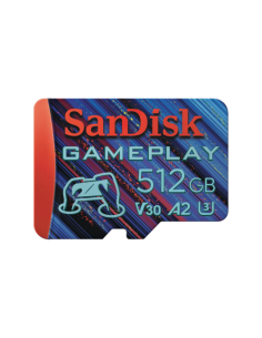 SanDisk SDSQXAV-256G-GN6XN memoria flash 256 GB MicroSD UHS-I