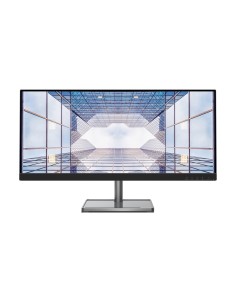 MONITOR L29W-30