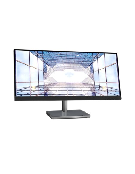 MONITOR L29W-30