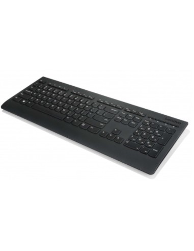 LENOVO PROFESSIONAL WIRELESS KEYBOA