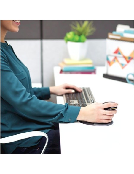 RATON ERGONOMICO PENGUIN M INALAMB