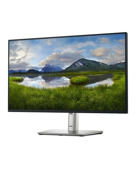 DELL 24 MONITOR - P2425H