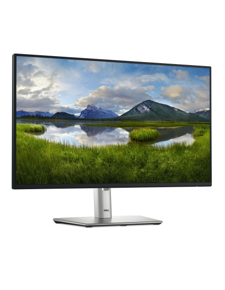 DELL 24 USB-C HUB MONITOR - P2425HE