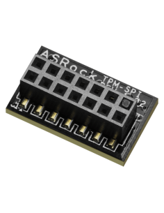 Asrock 90-MCA080-00UBNZ módulo de plataforma de confianza (TPM) SPI