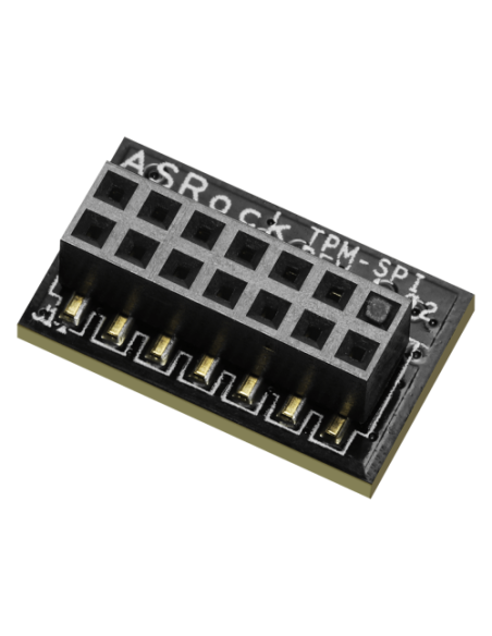 Asrock 90-MCA080-00UBNZ módulo de plataforma de confianza (TPM) SPI