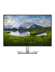 DELL 24 MONITOR - P2425 - 61CM