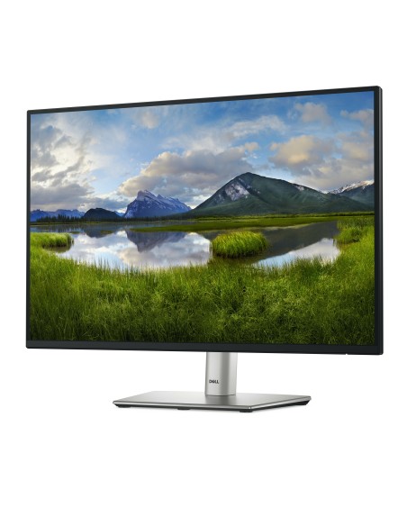 DELL 24 MONITOR - P2425 - 61CM