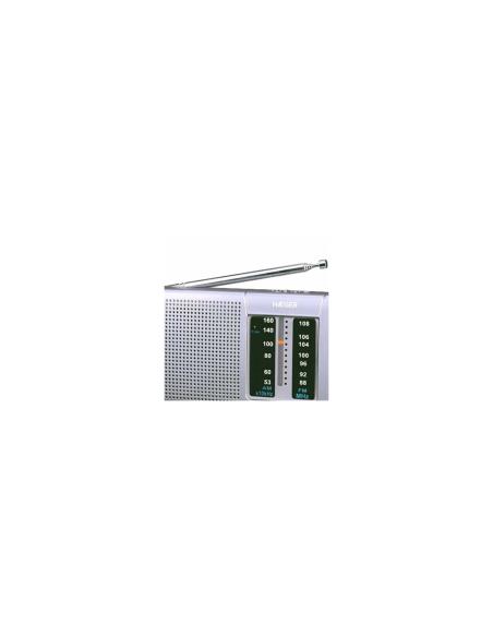 Haeger PR-BIB.001A radio Portátil Digital Plata