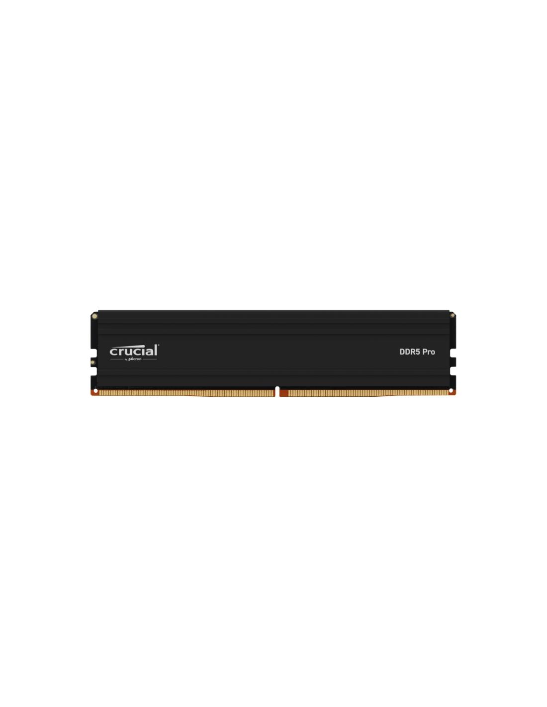 Crucial Ddr5 5600 24gb Ram Stick Ddr5 5600 Ddr5 24 Gb Ram Ddr4