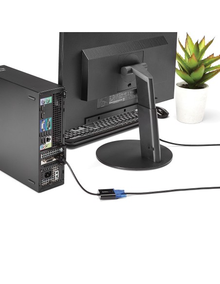 StarTech.com Adaptador DisplayPort a VGA  Macho a Hembra - 1920x1200 - Paquete de 5 Negro