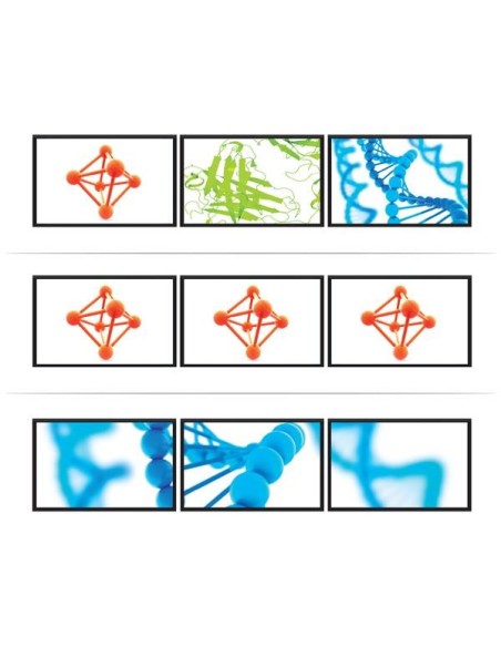 StarTech.com Concentrador MST - DisplayPort a 3x DisplayPort Negro