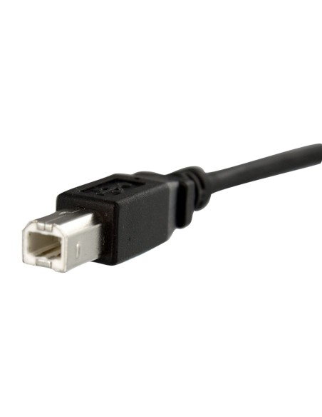 StarTech.com Cable USB de Montaje en Panel USB B macho a USB B hembra de 30cm - negro