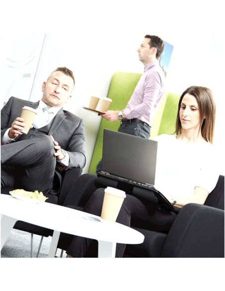 Fellowes PrivaScreen Filtro de privacidad para pantallas sin marco 39,6 cm (15.6")