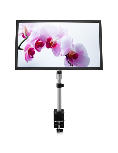 V7 Soporte para monitores con ajuste manual 32P Plata