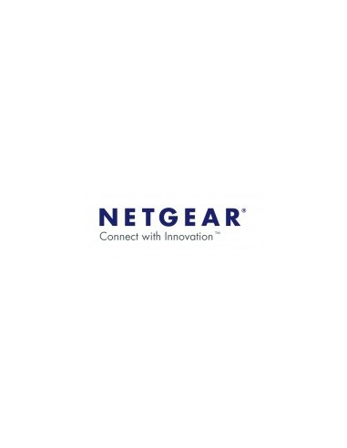 Netgear ReadyNAS ReplicateSoftware 1 licencia(s)