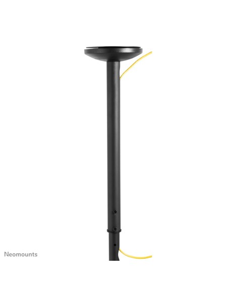 Neomounts by Newstar Soporte de techo para TV