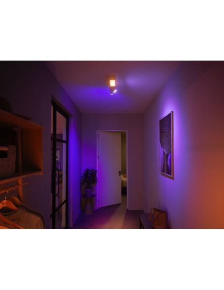 Philips Hue White and Color ambiance Plafón Centris de dos focos