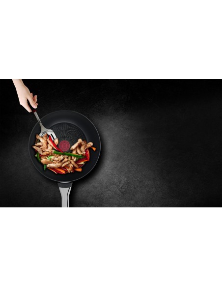 Tefal Excellence Sartén multiuso Alrededor Negro