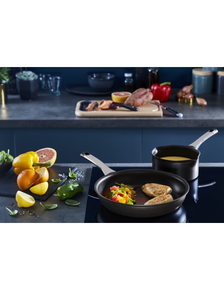 Tefal Excellence Sartén multiuso Alrededor Negro