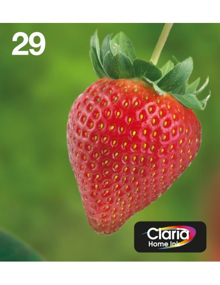 Epson Strawberry Multipack 4-colours 29 EasyMail