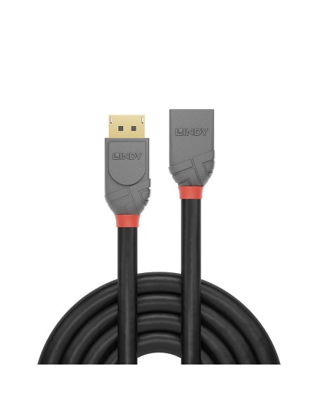 Lindy 36497 cable DisplayPort 2 m Negro