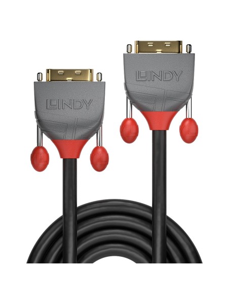 Lindy 36222 cable DVI 2 m DVI-D Negro