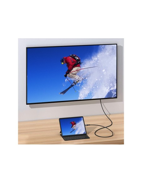 Equip 133428 adaptador de cable de vÍ­deo 3 m USB Tipo C DisplayPort Gris