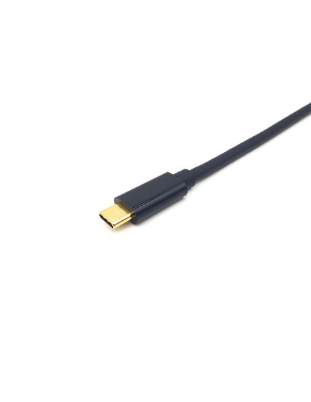 Equip 133427 adaptador de cable de vÍ­deo 2 m USB Tipo C DisplayPort Gris
