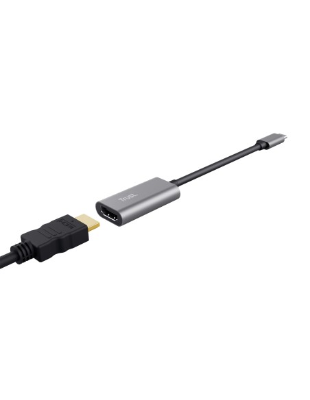 Trust Dalyx Adaptador gráfico USB Gris