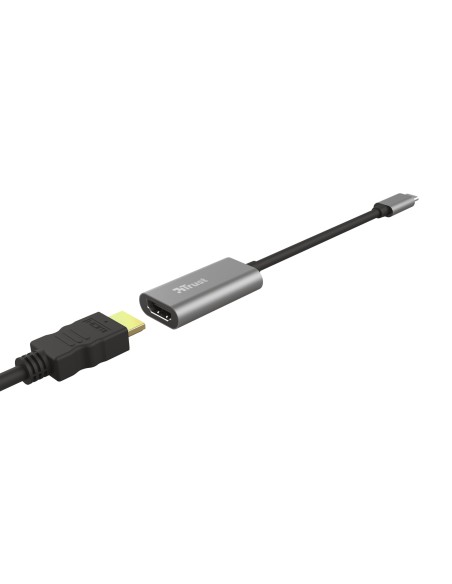 Trust Dalyx Adaptador gráfico USB Gris