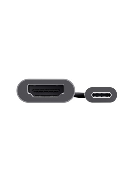 Trust Dalyx Adaptador gráfico USB Gris
