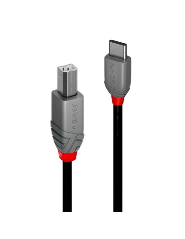 Lindy 36942 cable USB 2 m USB 2.0 USB C USB B Negro