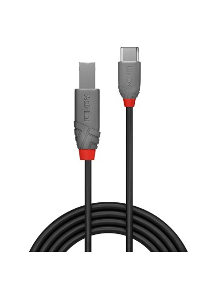 Lindy 36942 cable USB 2 m USB 2.0 USB C USB B Negro