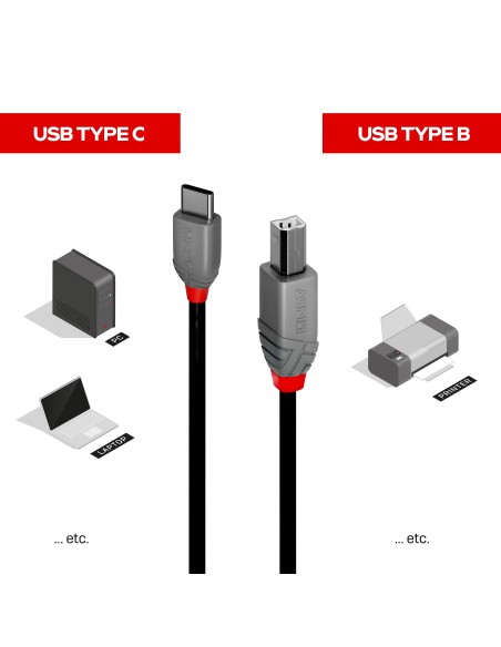 Lindy 36942 cable USB 2 m USB 2.0 USB C USB B Negro