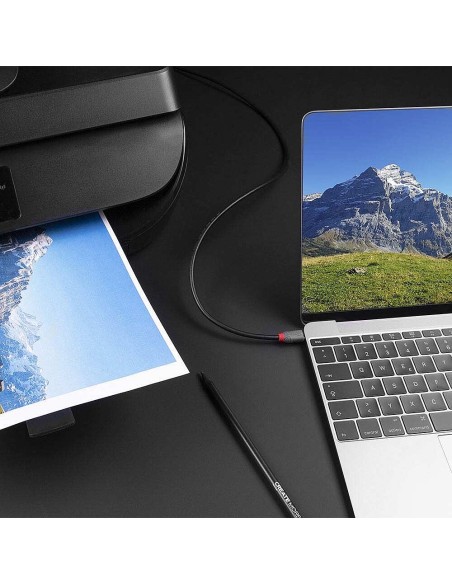 Lindy 36942 cable USB 2 m USB 2.0 USB C USB B Negro