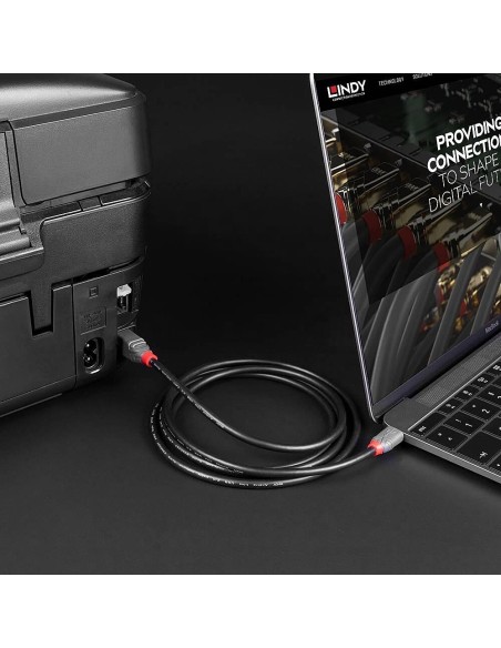 Lindy 36942 cable USB 2 m USB 2.0 USB C USB B Negro