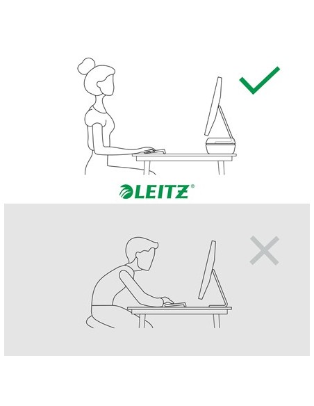 Leitz Ergo Adjustable Monitor Stand 68,6 cm (27") Gris Escritorio