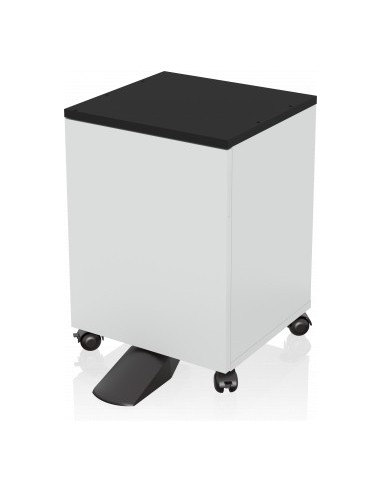 Epson 7112285 mueble y soporte para impresoras Negro, Blanco