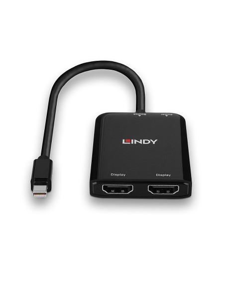 Lindy 38432 hub de interfaz Negro