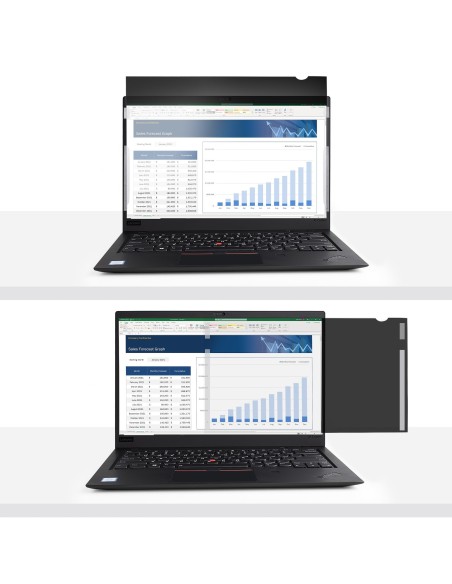 StarTech.com Filtro de Privacidad de 17,3 Pulgadas 16 9 para Portátil - Pantalla de Privacidad Protector Anti Brillo para Portát