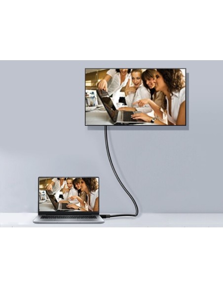 Equip 119337 cable DisplayPort 5 m Negro