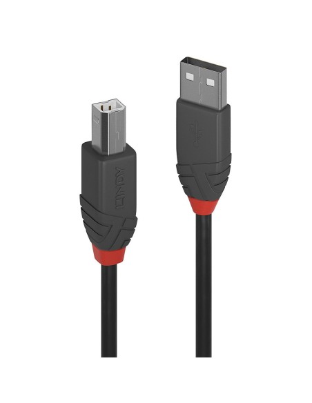 Lindy 36673 cable USB 2 m USB 2.0 USB A USB B Negro