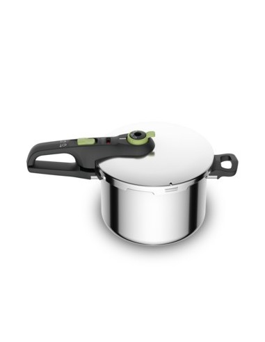 Tefal P2580703 olla a presión 6 L Acero inoxidable
